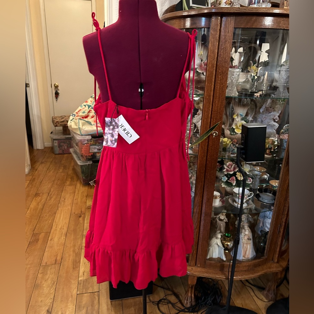 NWT Red Cider Dress With Tags - Picture 5 of 6